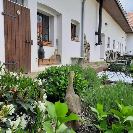 Statek U Kapličky Skalka (Prostejov)
