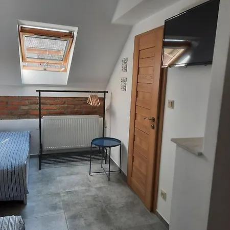 Statek U Kaplicky Guest house