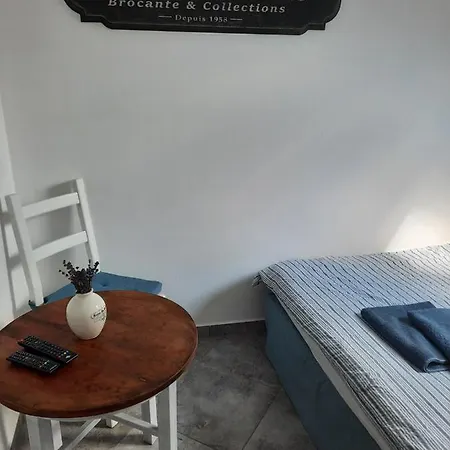 Statek U Kaplicky Guest house *
