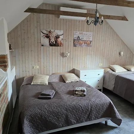 Maison d'hôtes Proste Statek