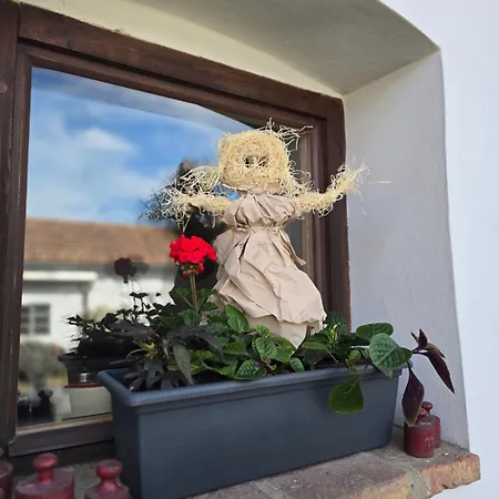 Proste Statek Guest house Skalka (Prostejov)