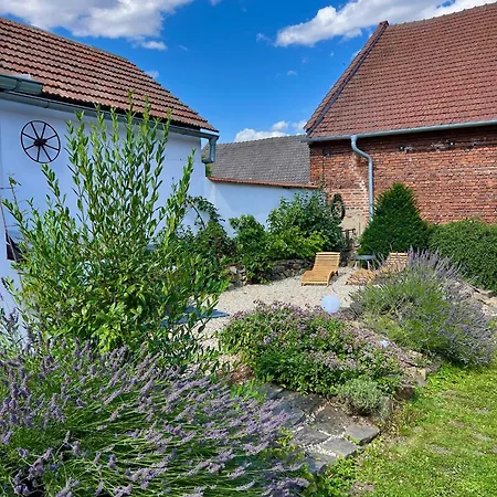 Maison d'hôtes Proste Statek