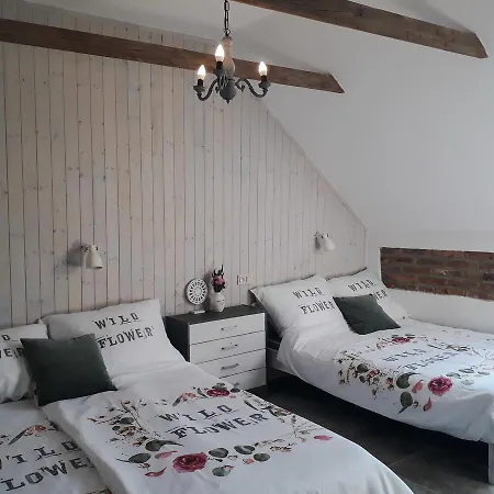 Guest house Statek U Kaplicky Skalka (Prostejov)