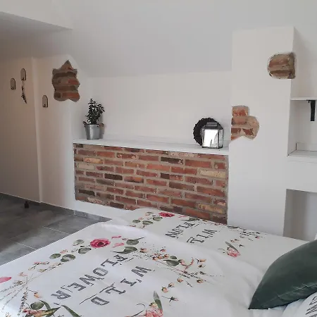 Guest house Statek U Kaplicky Skalka (Prostejov)